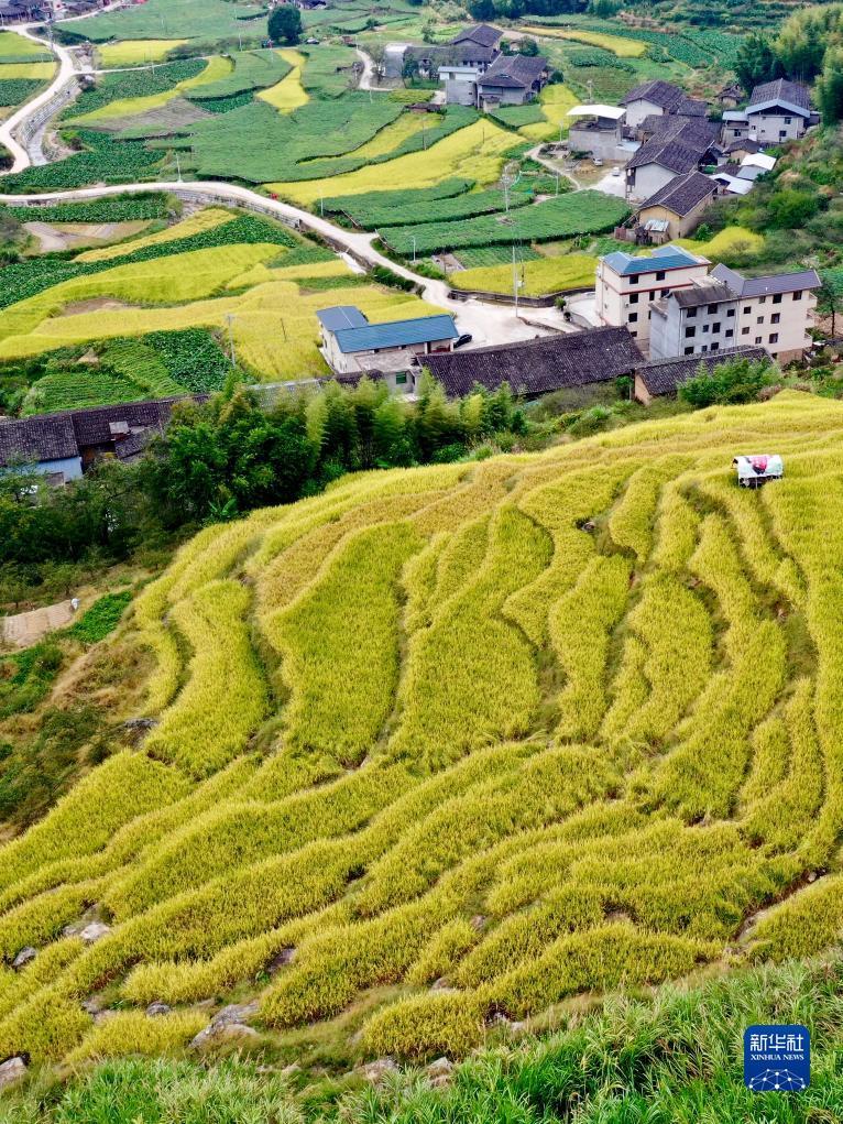 天吉彩论坛